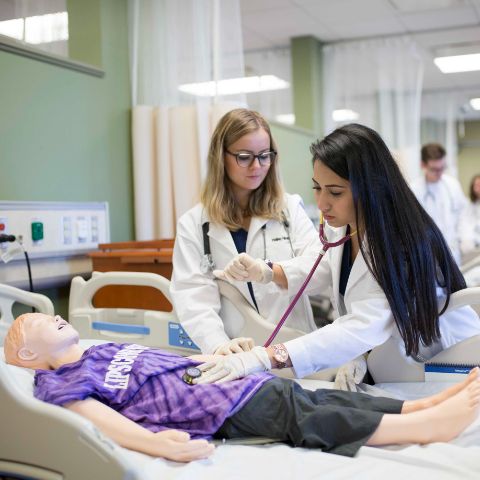 Nursing students working on a dummy patient
