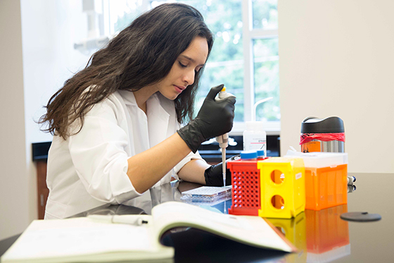 A student works on her own in the lab
