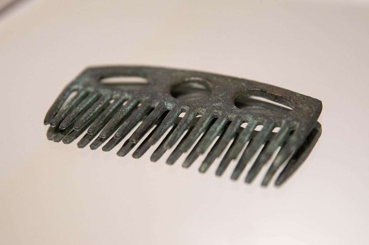 woman's hair comb