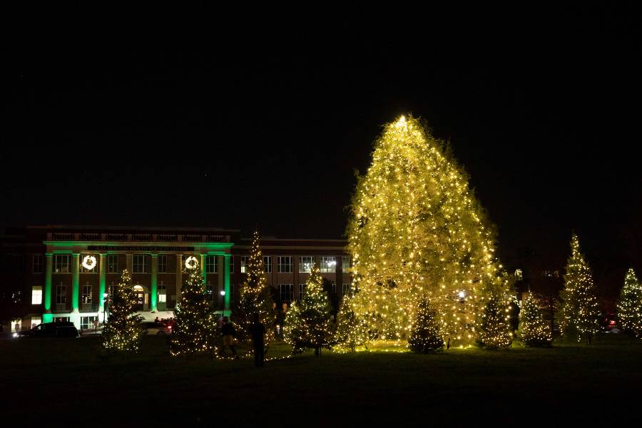 Lipscomb's green 和 trees lit for Christmas