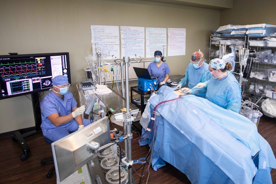 Lipscomb professors and students in the perfusion simulation lab