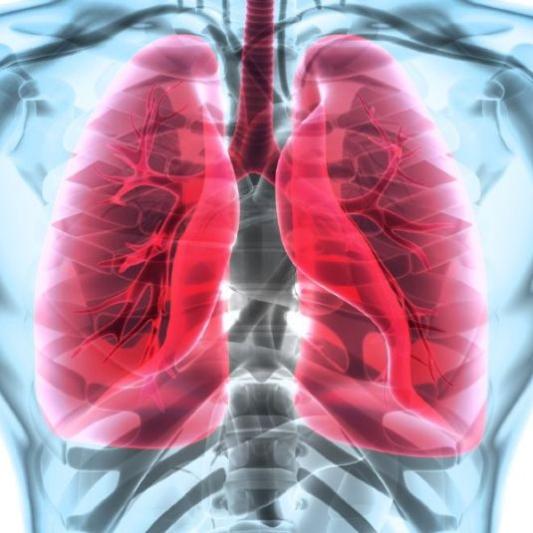 asthmsa lungs