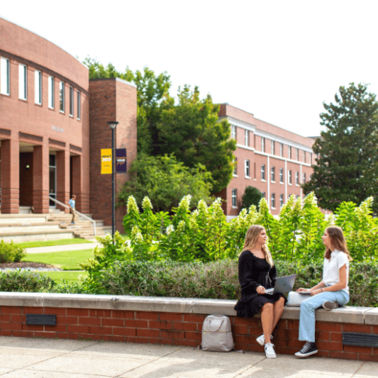 Lipscomb students studying on campus
