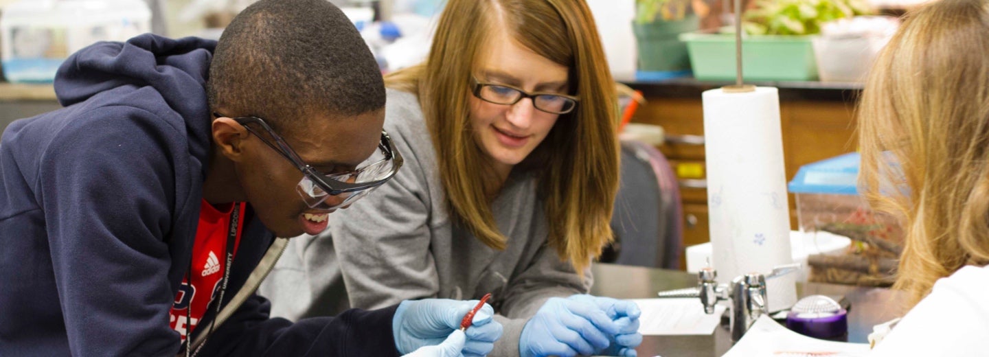 IDEAL Peer Mentors University