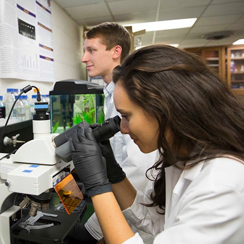 Science students work in a lab