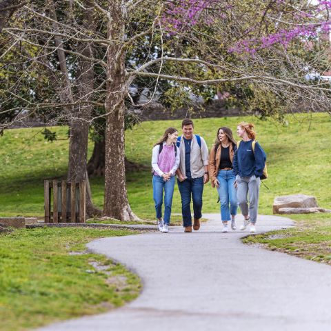 Students walking at the park