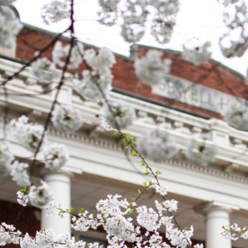 campus building in the springtime