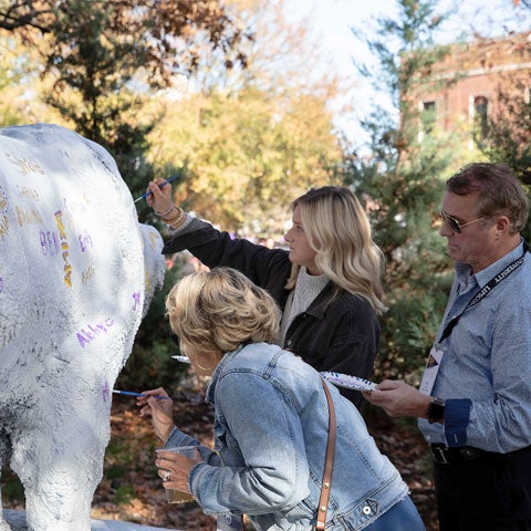 Alumni painting the bison
