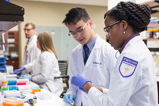 Student pharmacists at work.
