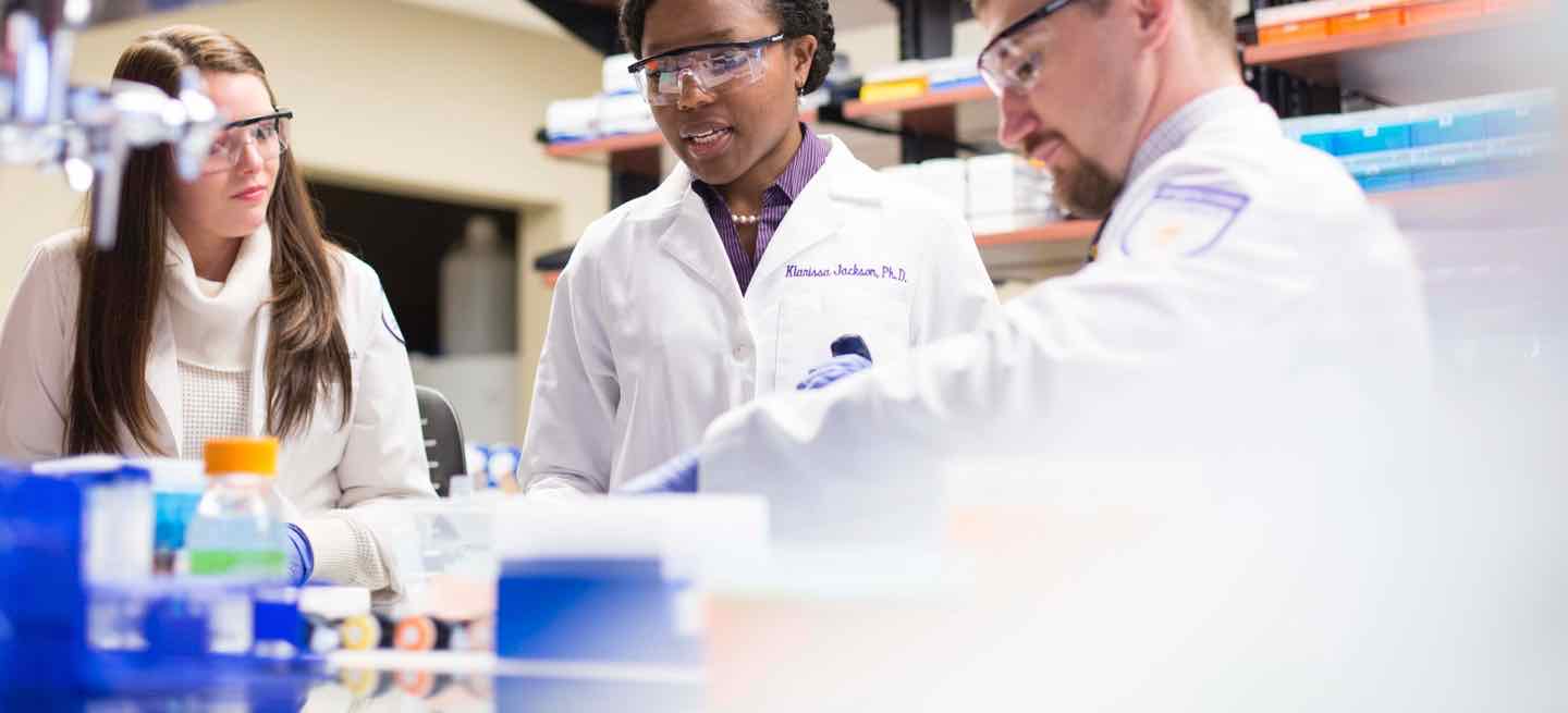 Pharmacy professor oversees student research in lab