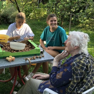 Lipscomb students in Vienna gathering walnuts.