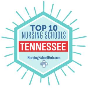 Nursing School Hub badge