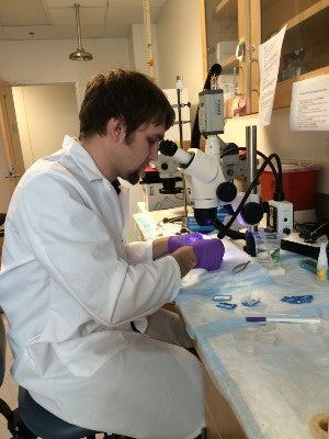 Midgett at lab bench