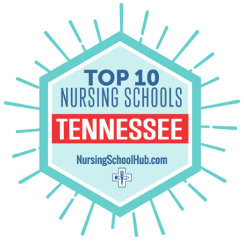 Top 10 nursing badge 