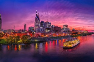 The Nashville Skyline 