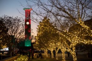 bell tower lotg 2021