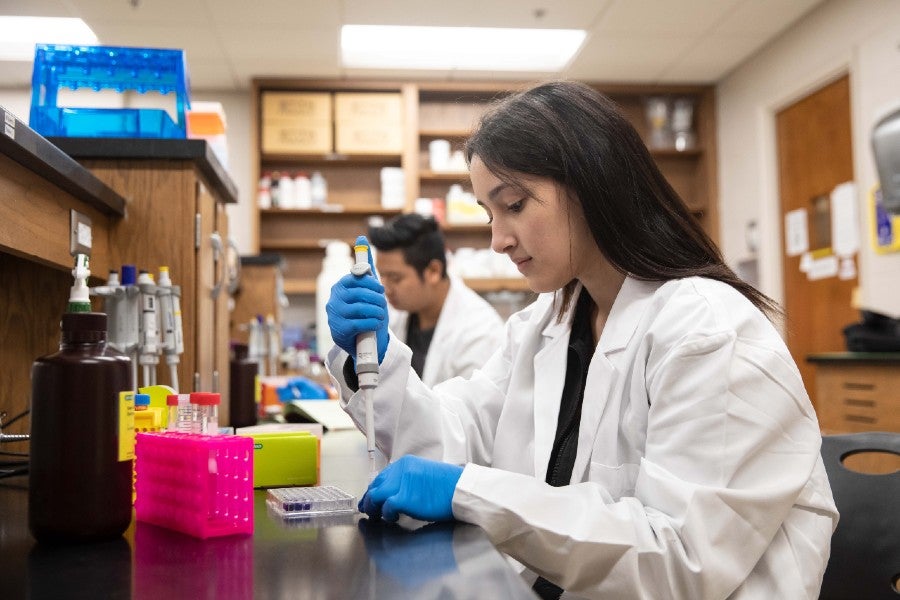 Lipscomb students in chemistry lab