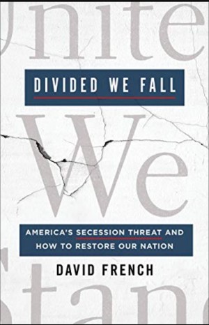 Divided We Fall Book Cover