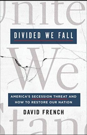 Divided We Fall Book Cover