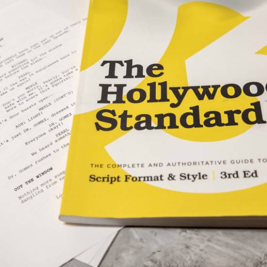 the hollywood standard screen writing book