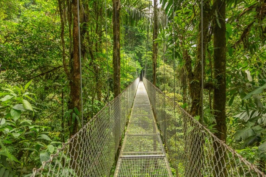 News - Costa Rica Bridge