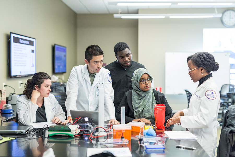 Students learning in the College of Pharmacy and Health Sciences