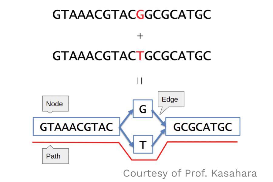 Pantograph encoding example