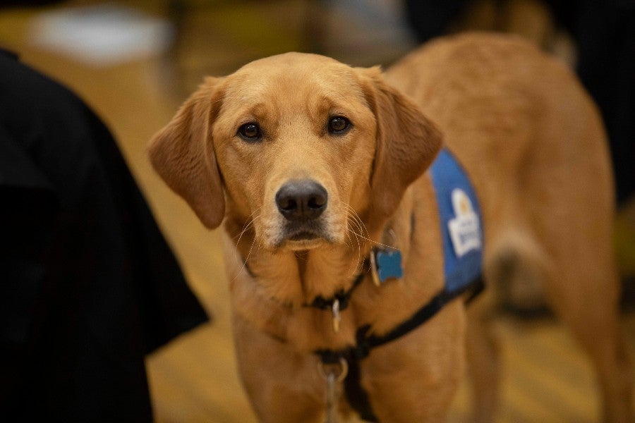 A service dog also walked the stage with one graduate