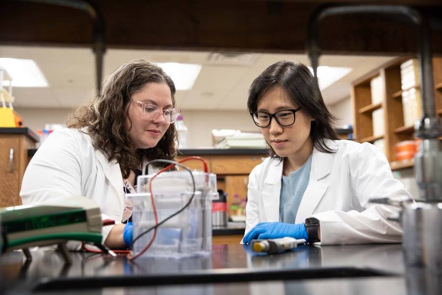 BMS program director Bonny Millimaki observes a student in the research lab. 