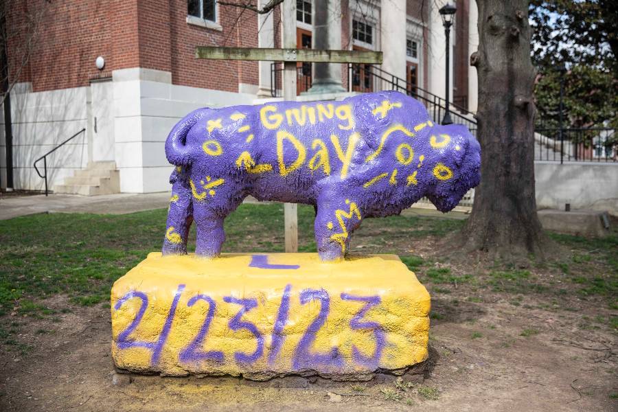 The Bison got into the action painted for Giving Day. 