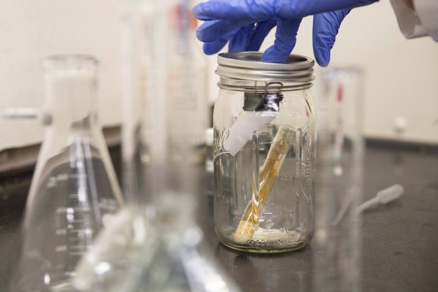 The thermal paper in a jar with nitrogen dioxide fumes