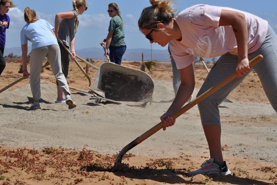 Members of the Bison volleyball team build a sand volleyball court.
