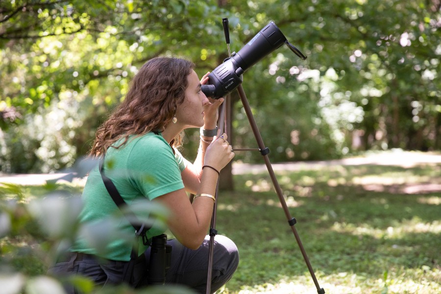Amelia Browning checking on wood thrushes using large binocular on a low tripod.