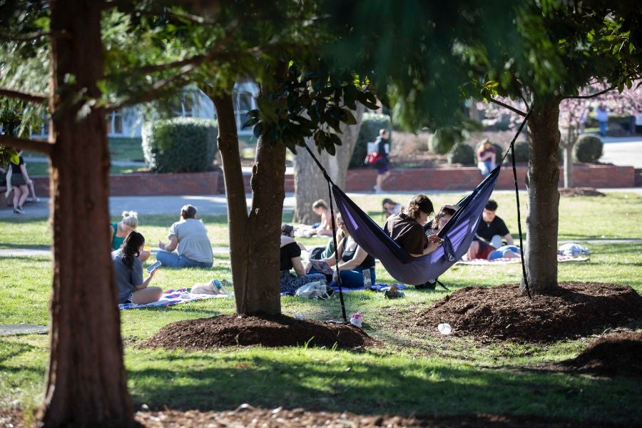 Student hammocks