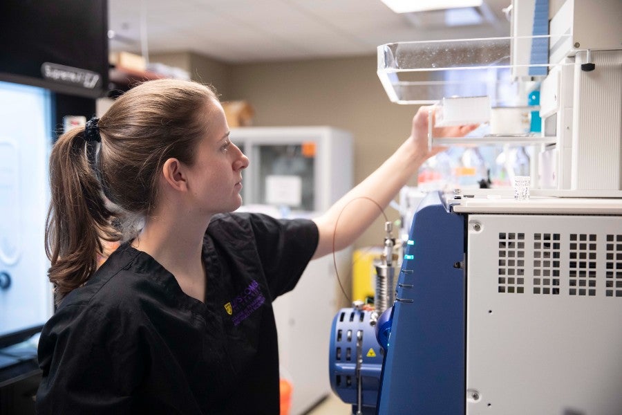 Anne Carlisle working in the labs