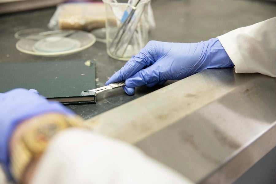 Students pulling a sample from a book cover