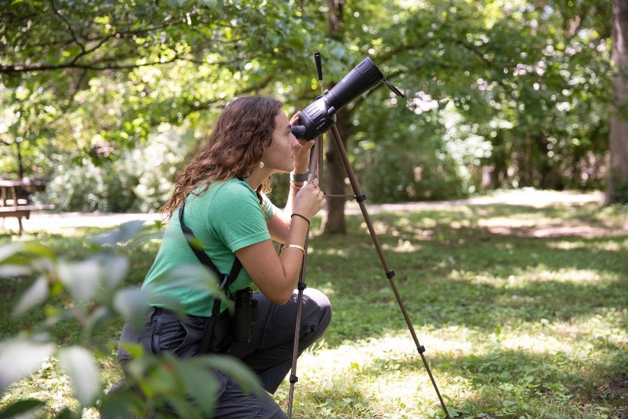 AMELIA BROWNING MONITORING A WOOD THRUSH NEST