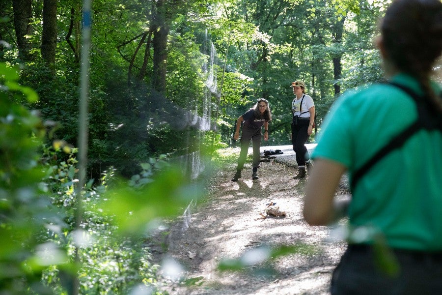 Laura Cook and student interns at the nets that catch bird for tagging