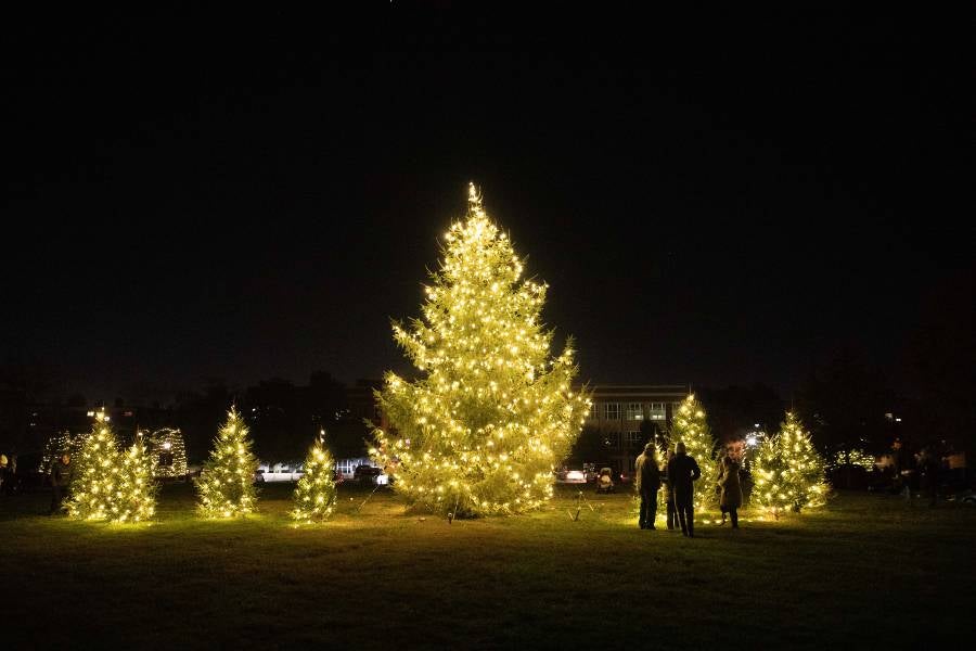 The Lipscomb green