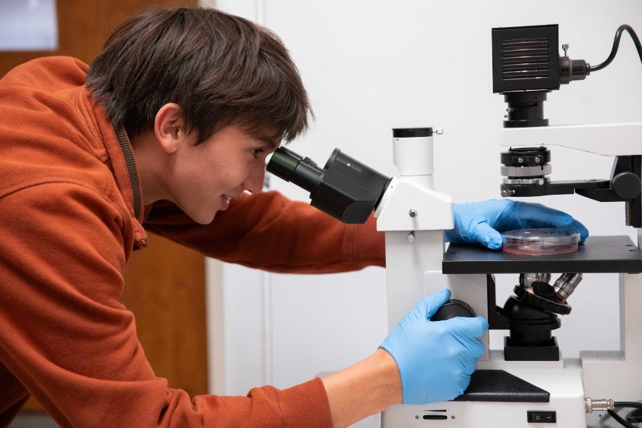 Student lokking through a microscope in the biology lab