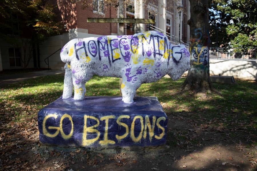 The Lipscomb Bison stature painted with a Homecoming message