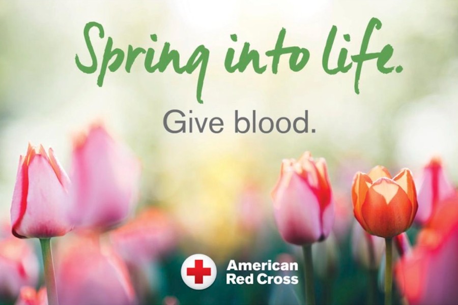 News - Spring into Life Red Cross