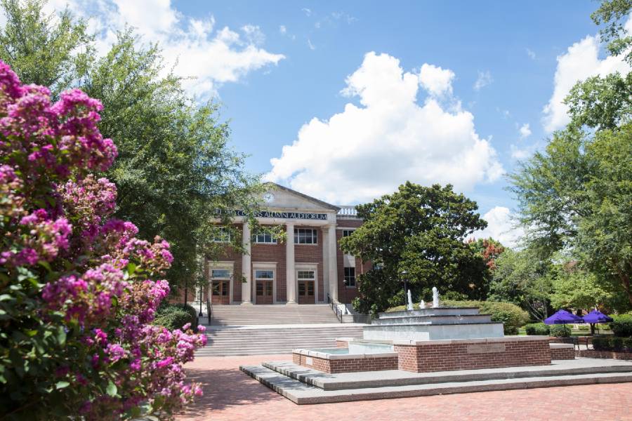 Photo of Bison Square in the spring