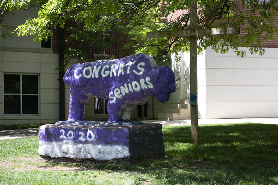 The Bison statue on campus painted with "Congrats Seniors."
