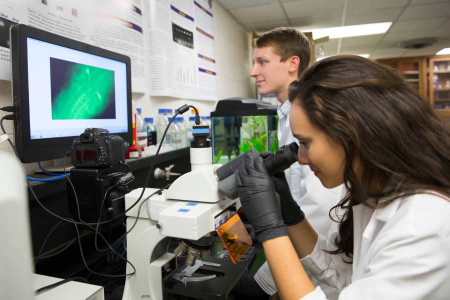 Students at microscope