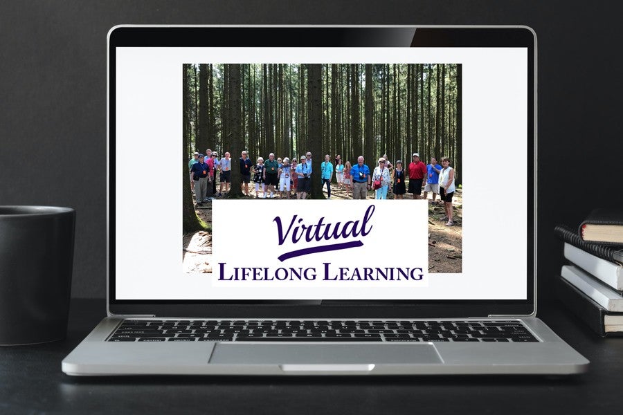 Virtual Lifelong Learnign Logo