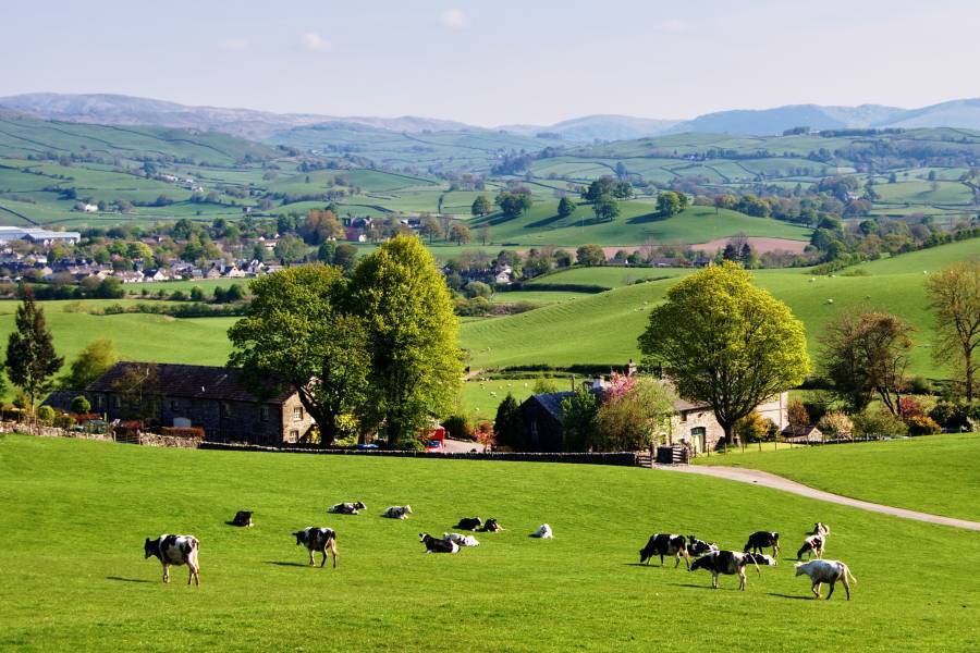 picture of rural farmland