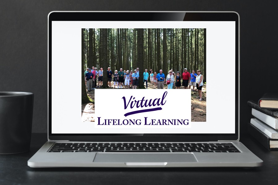 Computer screen that says Virtual Lifelong Learning