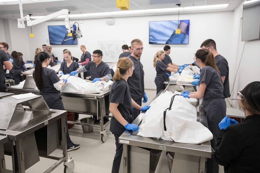 Students in the PA School anatomy lab