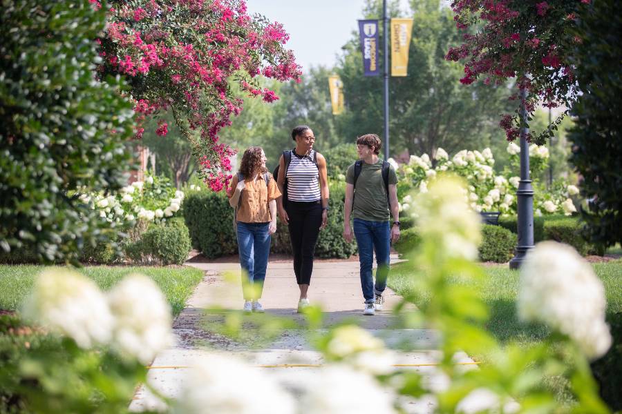 Three students walking on the Lipscomb campus in the summertime. 